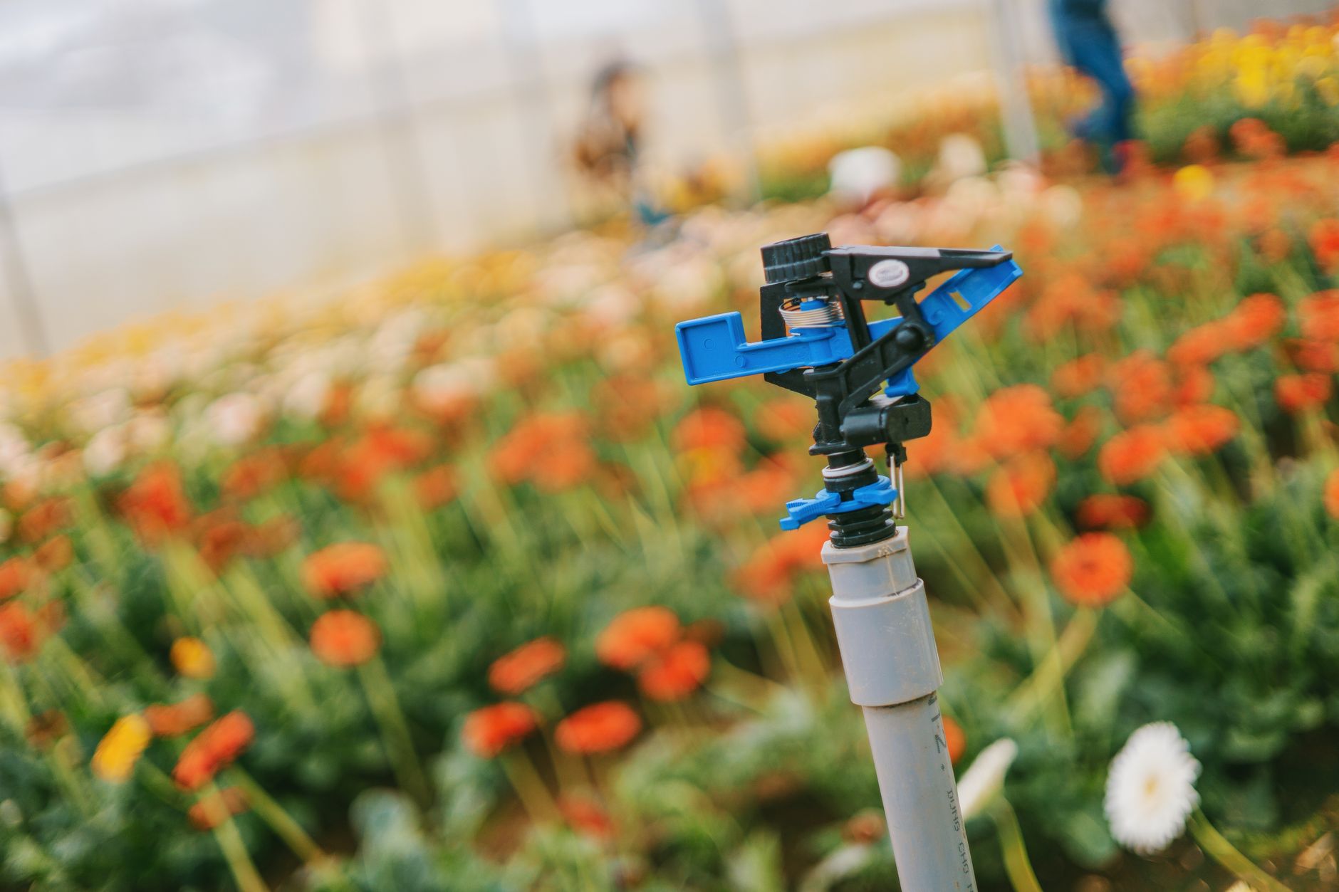 Irrigation & Sprinkler Repair | Alvin